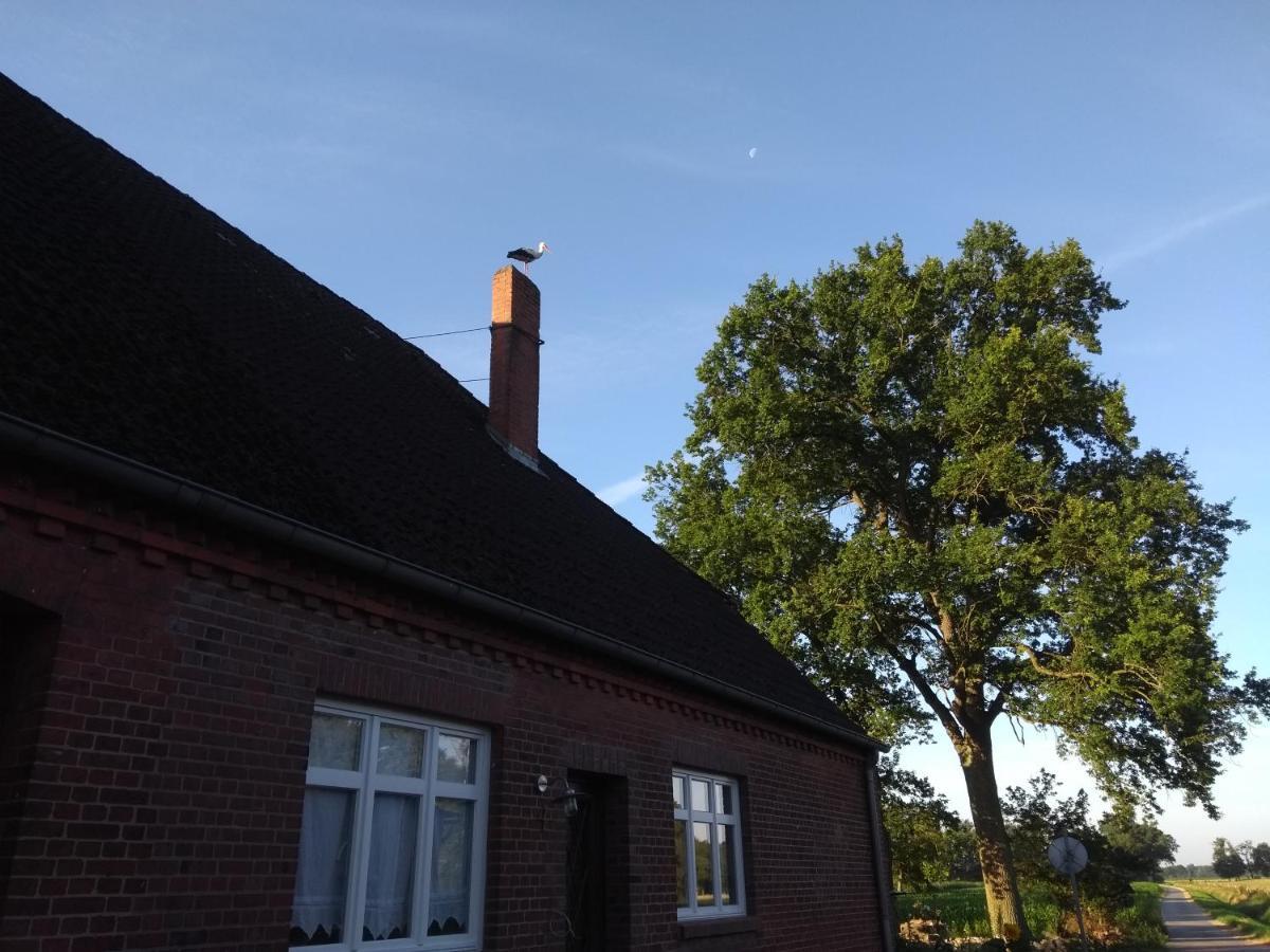 Krötenhof Barförde Barforde Exteriör bild
