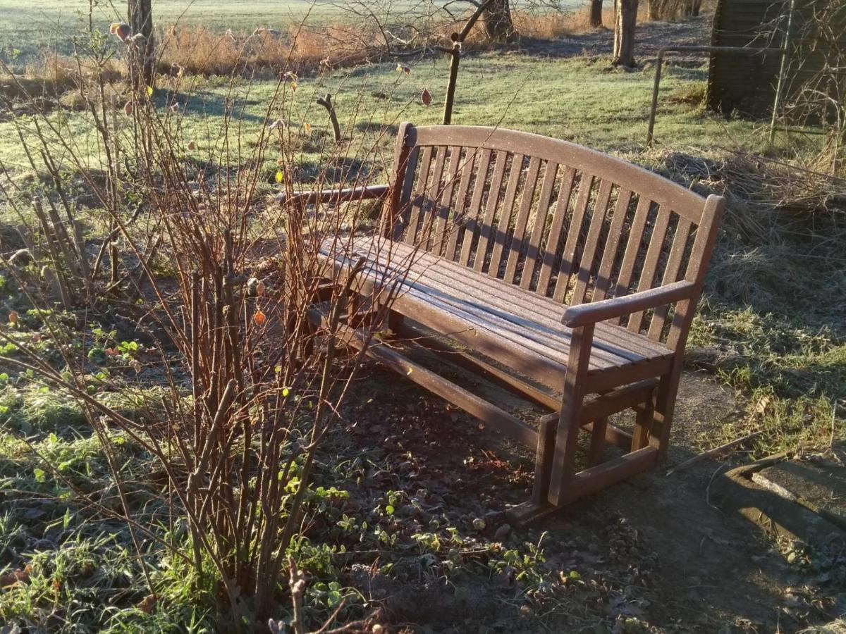 Krötenhof Barförde Barforde Exteriör bild