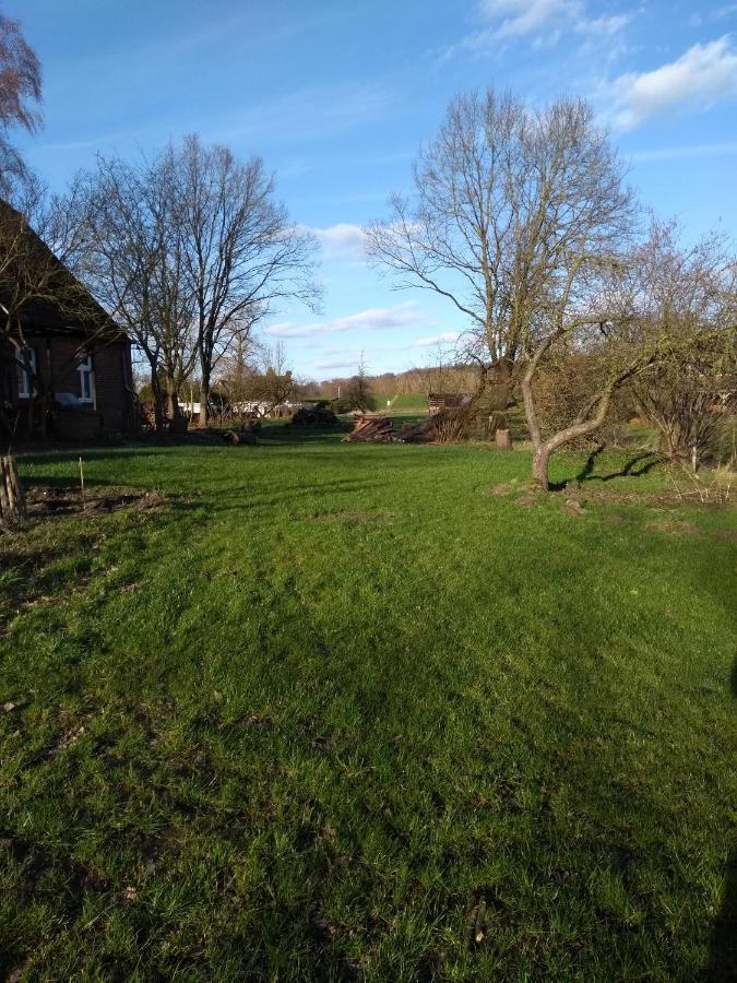 Krötenhof Barförde Barforde Exteriör bild