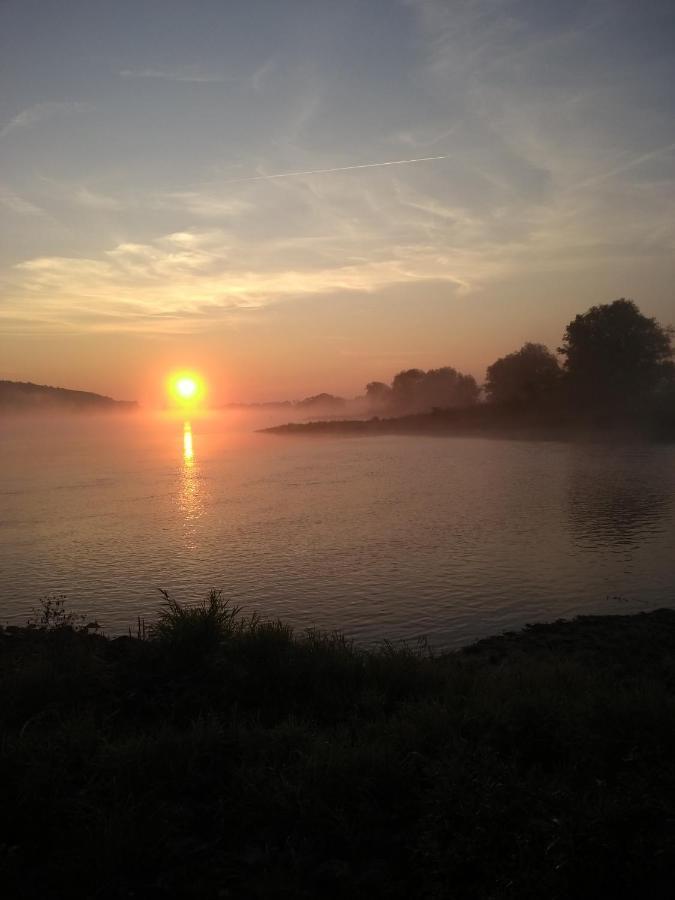 Krötenhof Barförde Barforde Exteriör bild
