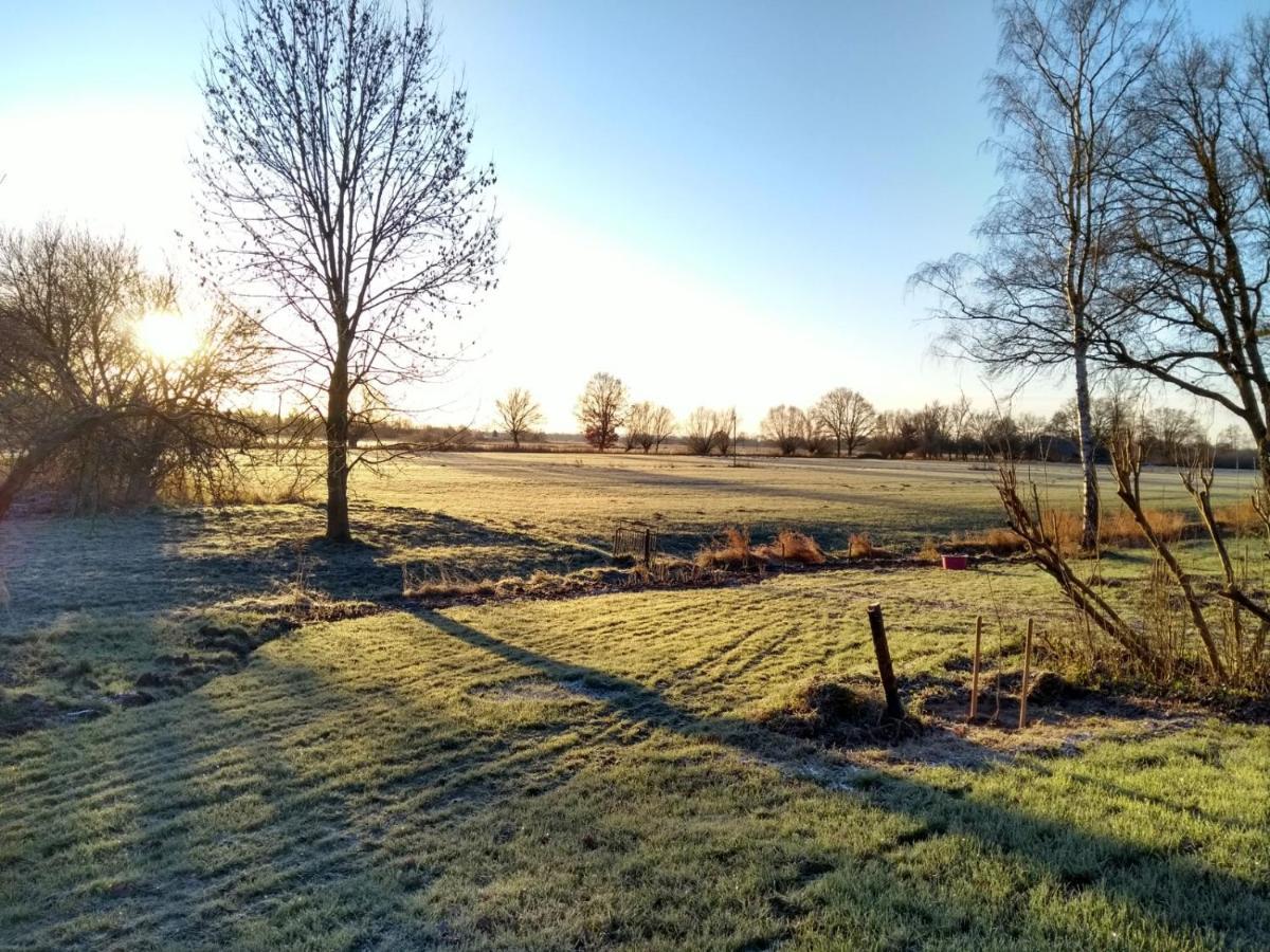Krötenhof Barförde Barforde Exteriör bild