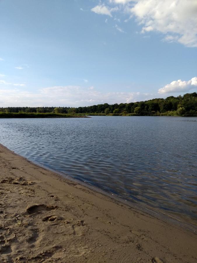 Krötenhof Barförde Barforde Exteriör bild