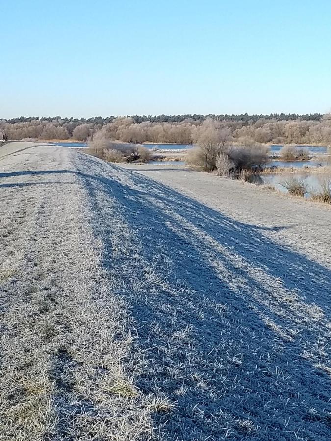 Krötenhof Barförde Barforde Exteriör bild