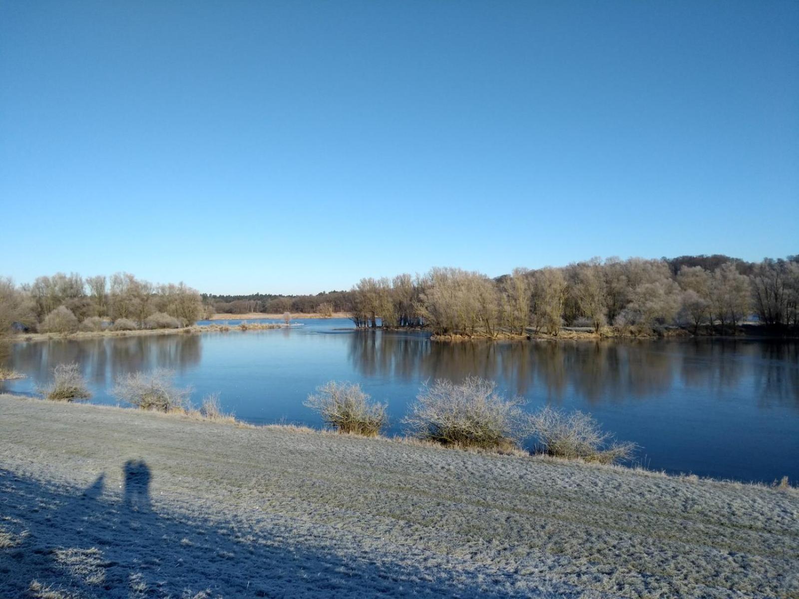 Krötenhof Barförde Barforde Exteriör bild